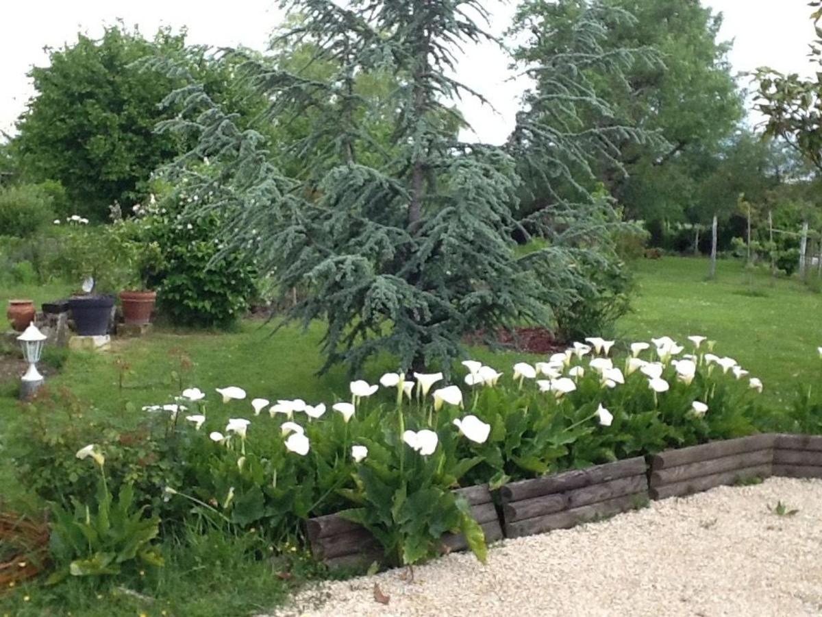 Gite Enchanteur Avec Jardin Prive Et Climatisation Pres Du Chateau D'Azay-Le-Ferron - Fr-1-591-457 Acomodação com café da manhã Exterior foto