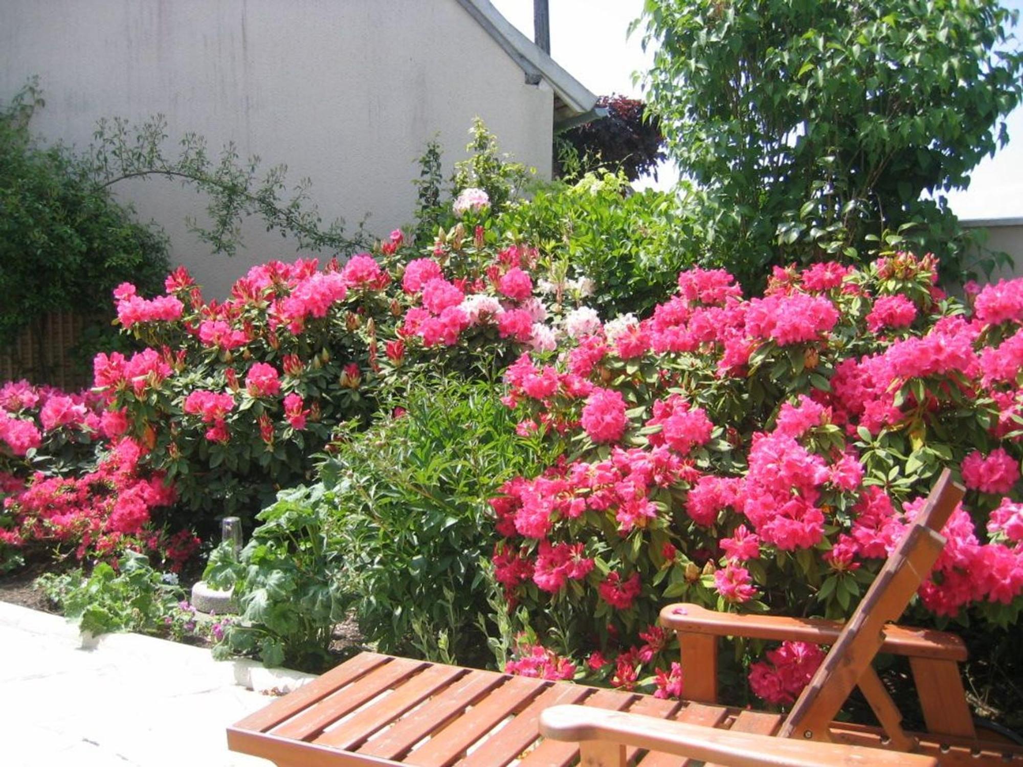 Gite Enchanteur Avec Jardin Prive Et Climatisation Pres Du Chateau D'Azay-Le-Ferron - Fr-1-591-457 Acomodação com café da manhã Exterior foto